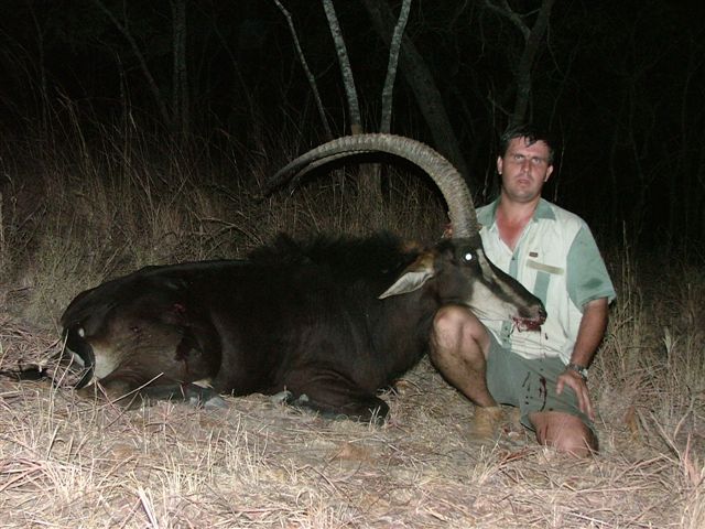 sable
