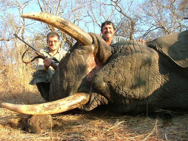 Trophy Elephant