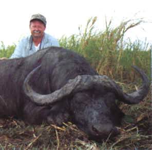 cape buffalo hunting safari mozambique