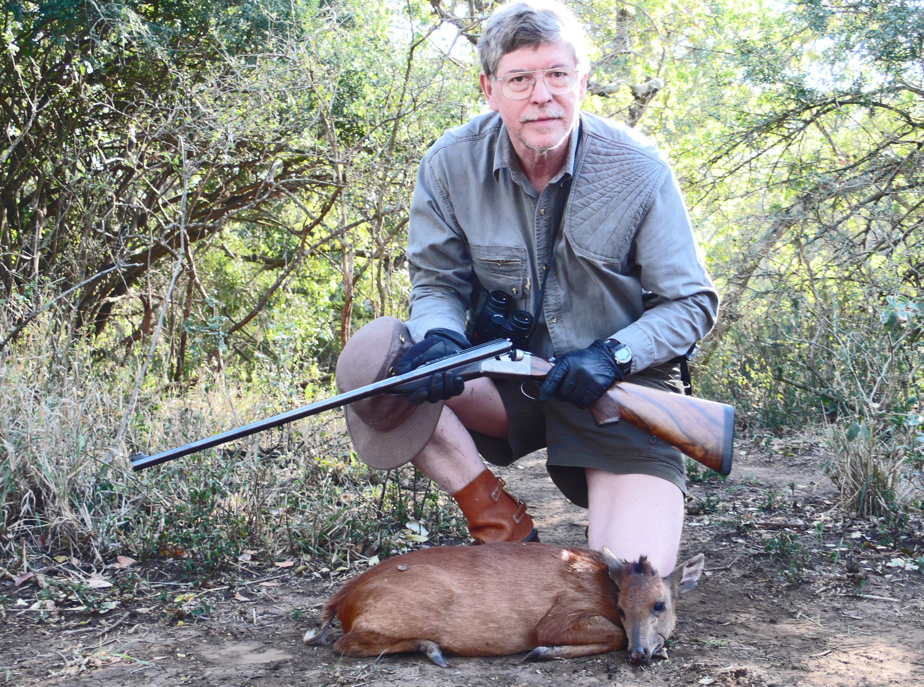 Tim's Red Duiker